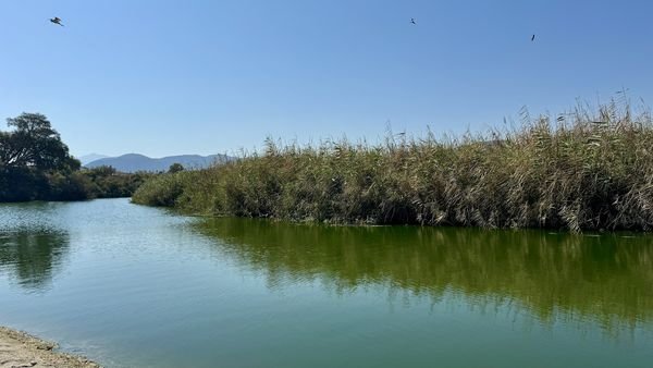 Naturschutzgebiet Aposelemis bei Gouves
