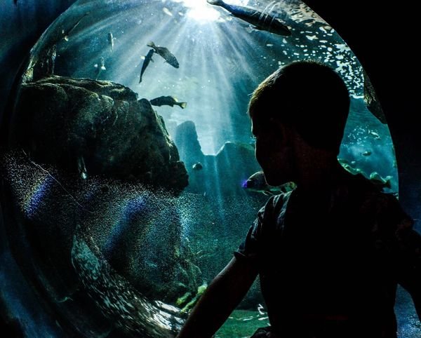 CRETAquarium Thalassokosmos in Gournes bei Gouves